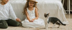 Katten kommer hem
