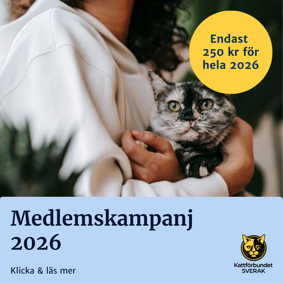 Medlemskampanj 2026