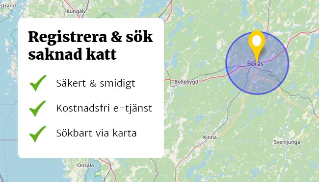 Registrera & sök saknad katt. Säkert och smidigt. Kostnadsfri e-tjänst. Sökbart via karta.